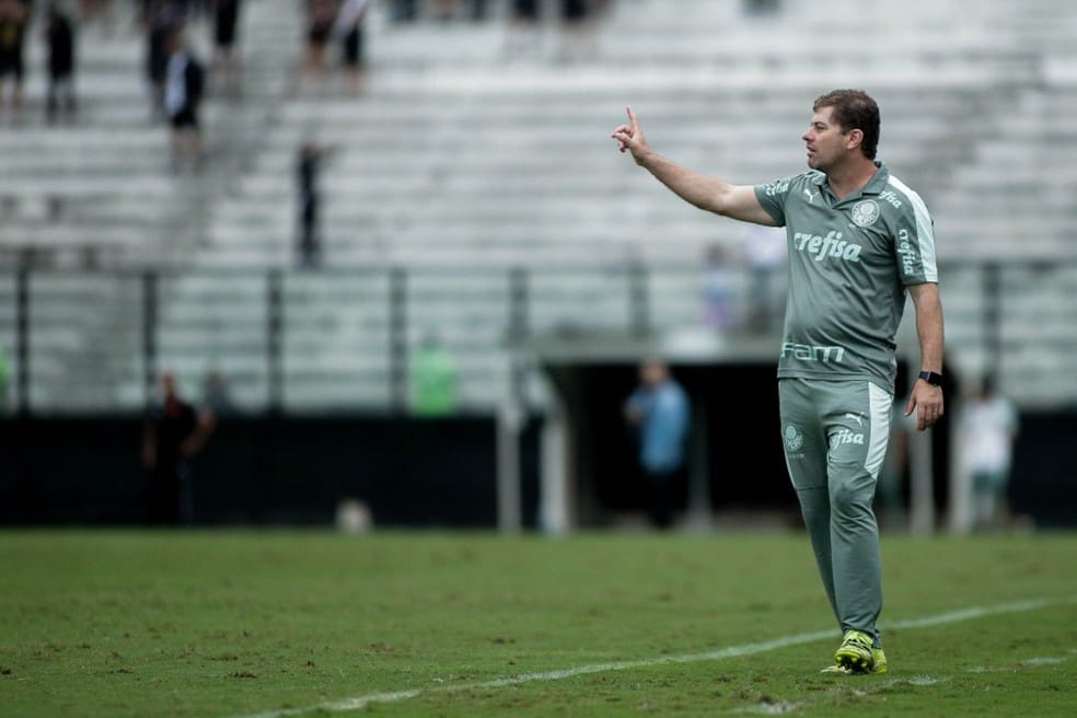 Rafael Paiva, na época comandante do Palmeiras, contra o Vasco em São Januário — Foto: Adriano Fontes/CBF